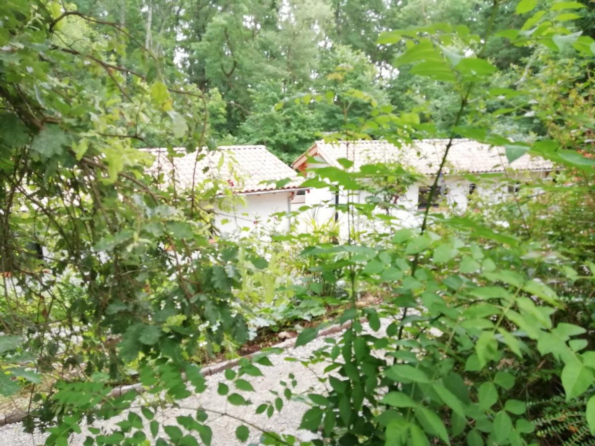Pause Nature. Maison Ananda A 14 Kms De Toulouse Avec Parking Privatif Lapeyrouse-Fossat Exteriör bild